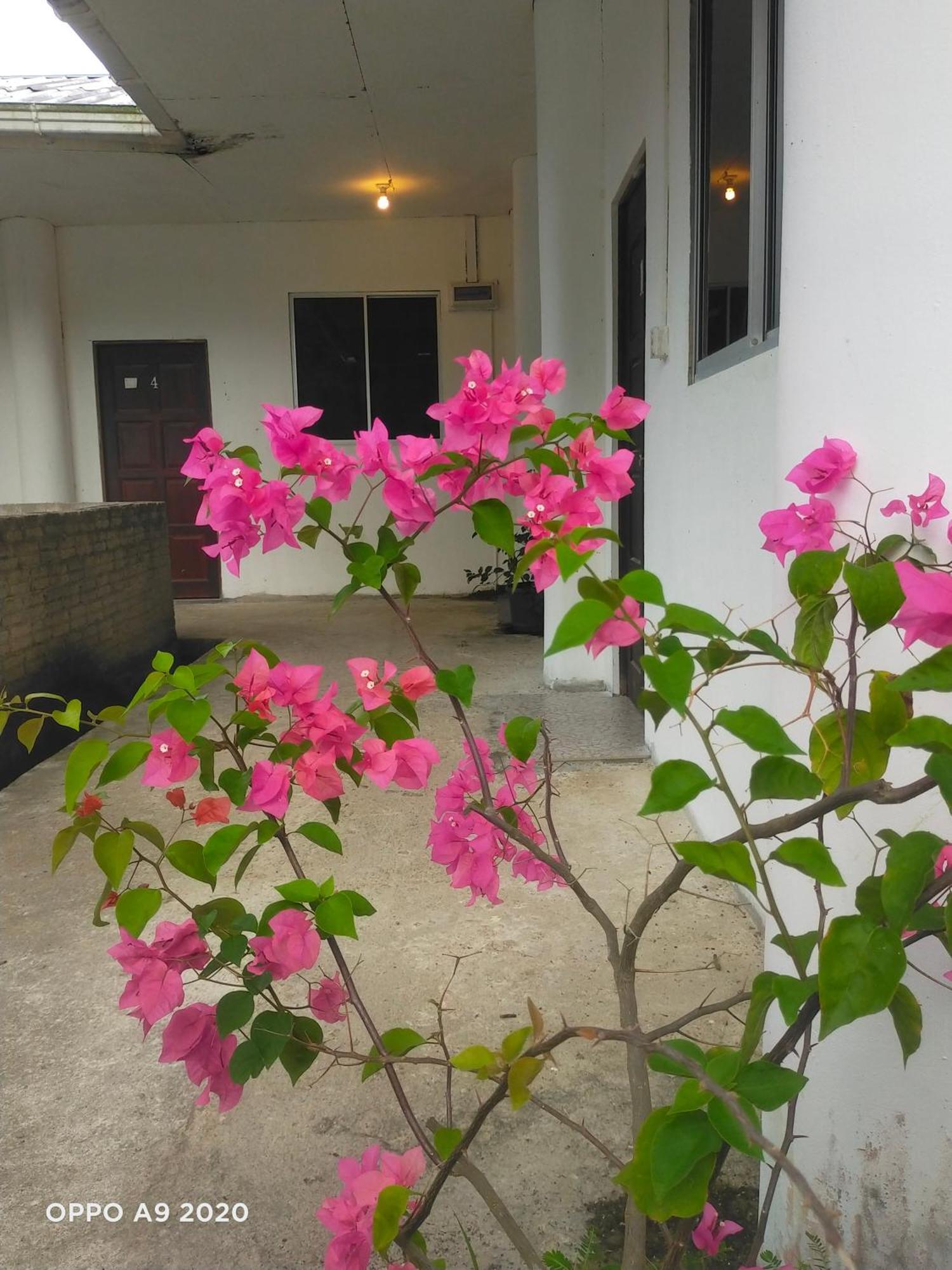 Sukau Tomanggong View Bed & Breakfast Exteriér fotografie