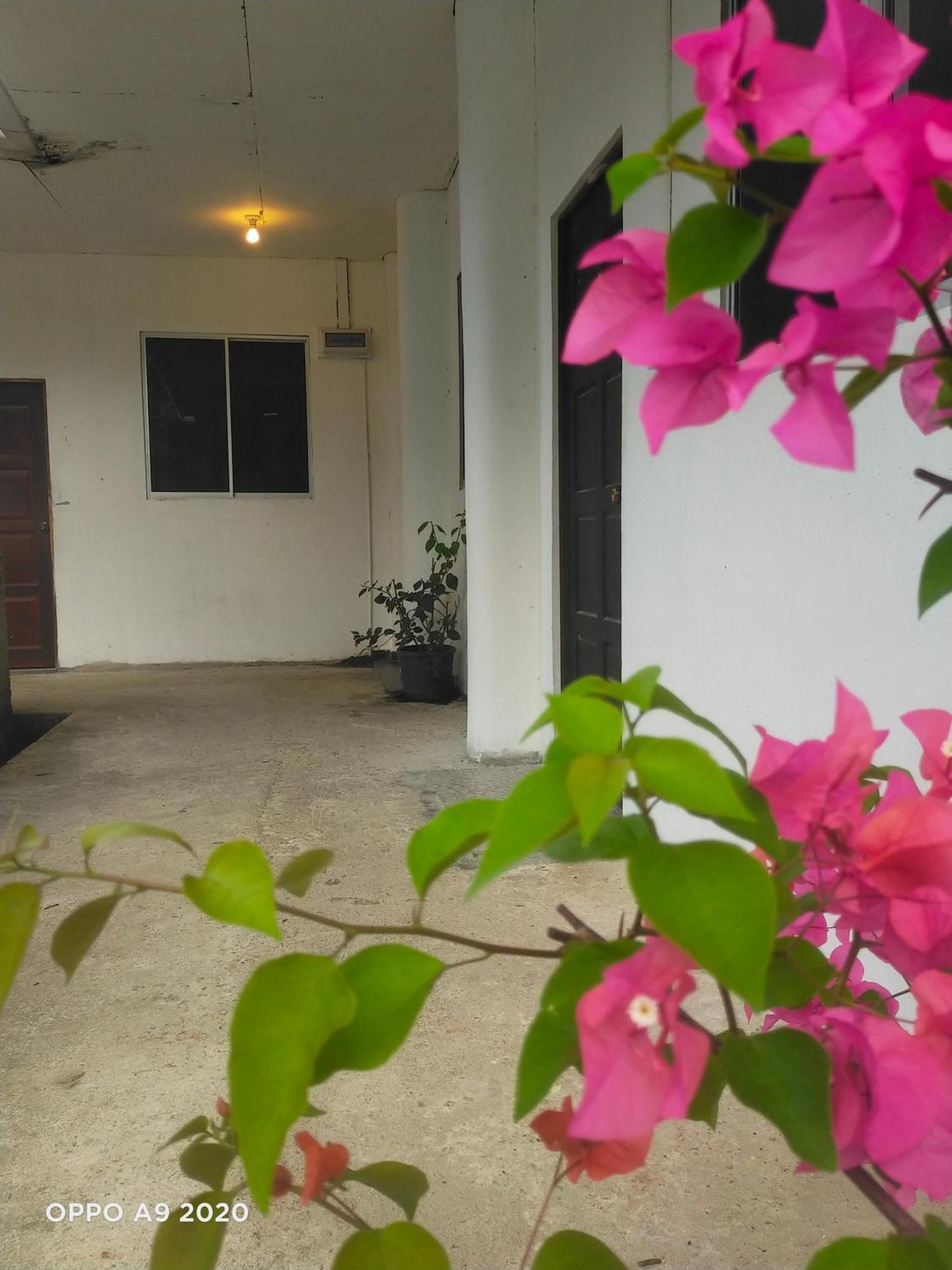 Sukau Tomanggong View Bed & Breakfast Exteriér fotografie