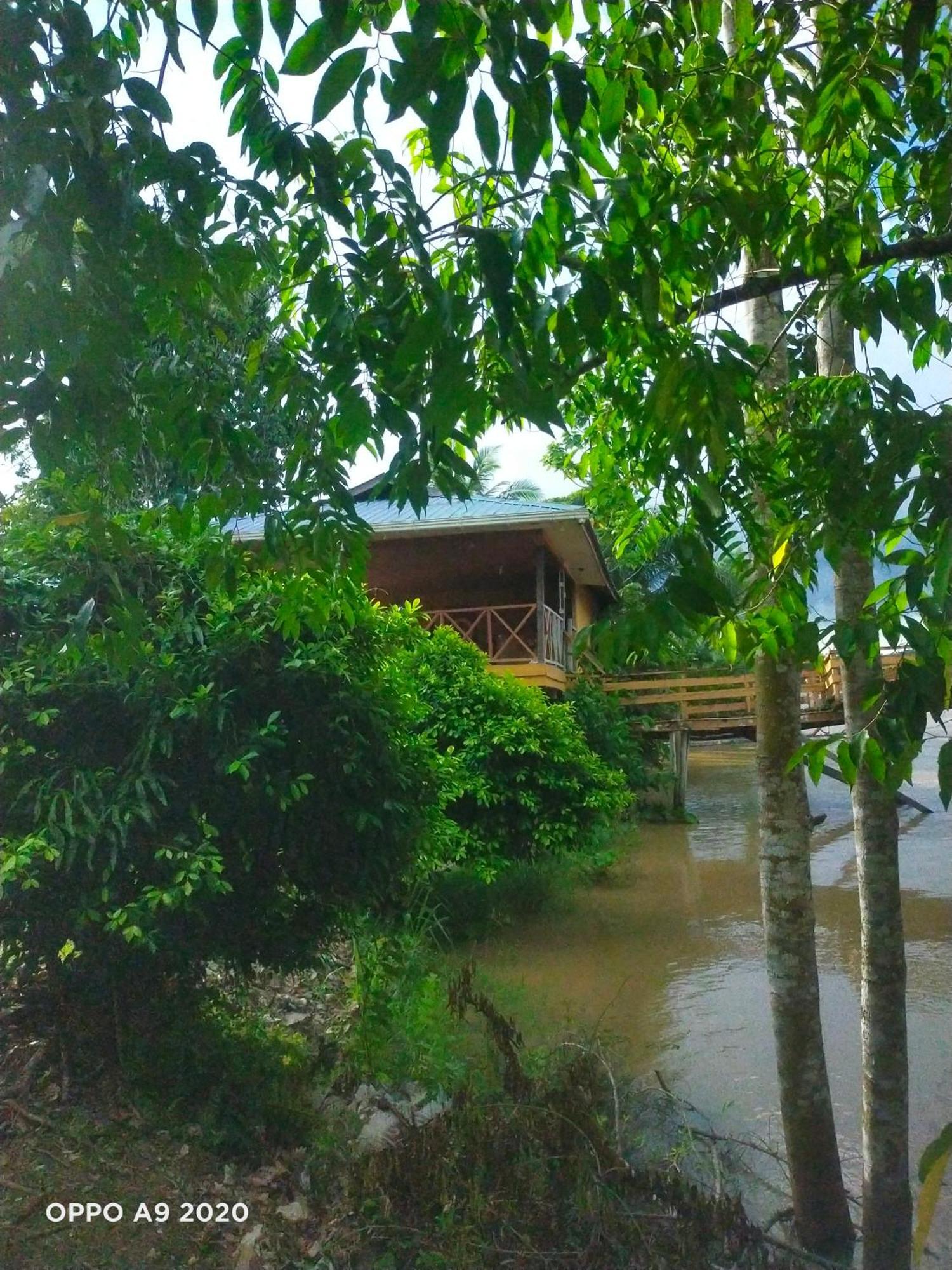 Sukau Tomanggong View Bed & Breakfast Exteriér fotografie